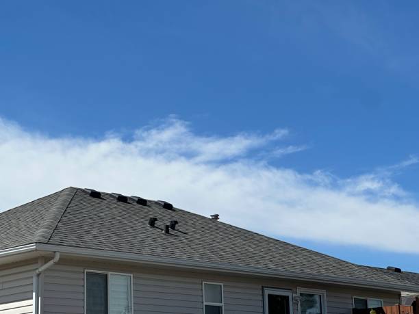 Best Steel Roofing  in Chalfant, CA